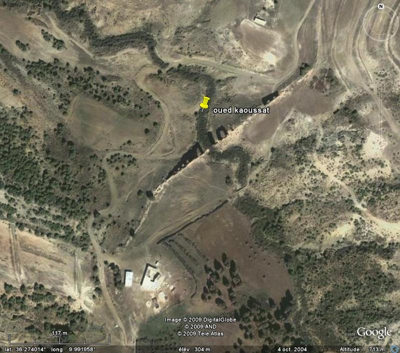 Carthage - Ain Jouggar - Oued Kaoussat aerien.jpg